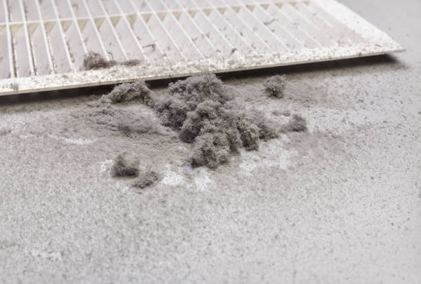 Best Commercial Air Duct Cleaning  in Wolf Point, MT