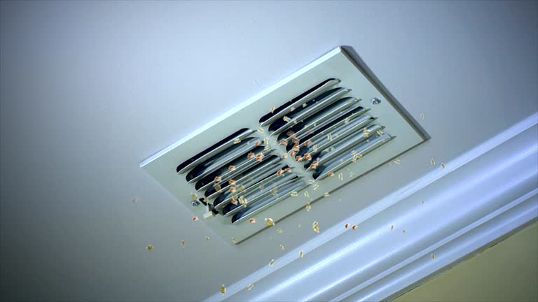 Best Affordable Duct Cleaning Services  in Wolf Point, MT
