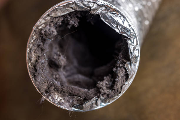  Wolf Point, MT Airduct Cleaning Pros